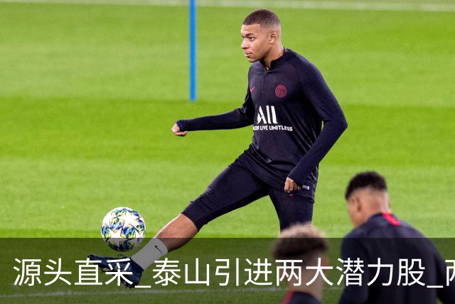 源头直采 泰山引进两大潜力股 两外援抵达济南